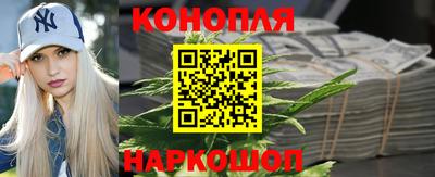 гашик Тверь