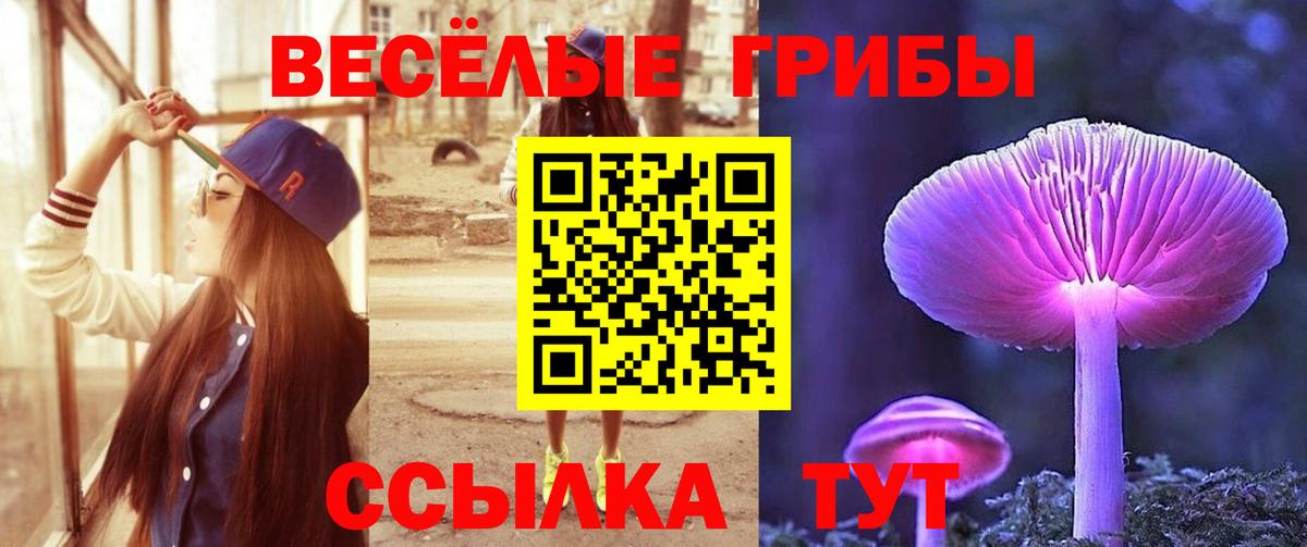 Псилоцибиновые грибы прущие грибы Нурлат